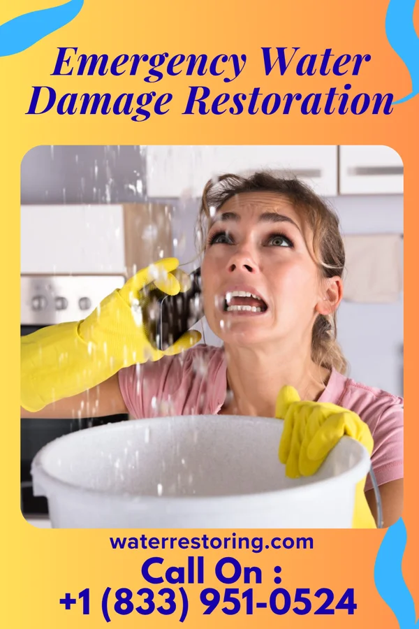 Emergency Water Damage Restoration in Eldorado at Santa Fe, NM